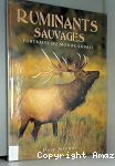 Ruminants sauvages