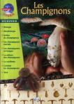 Les champignons